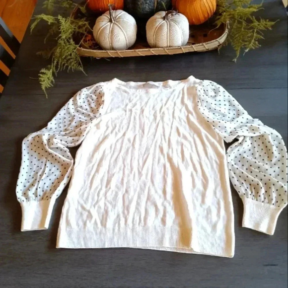 Loft Sweater NWOT - Picture 2 of 6